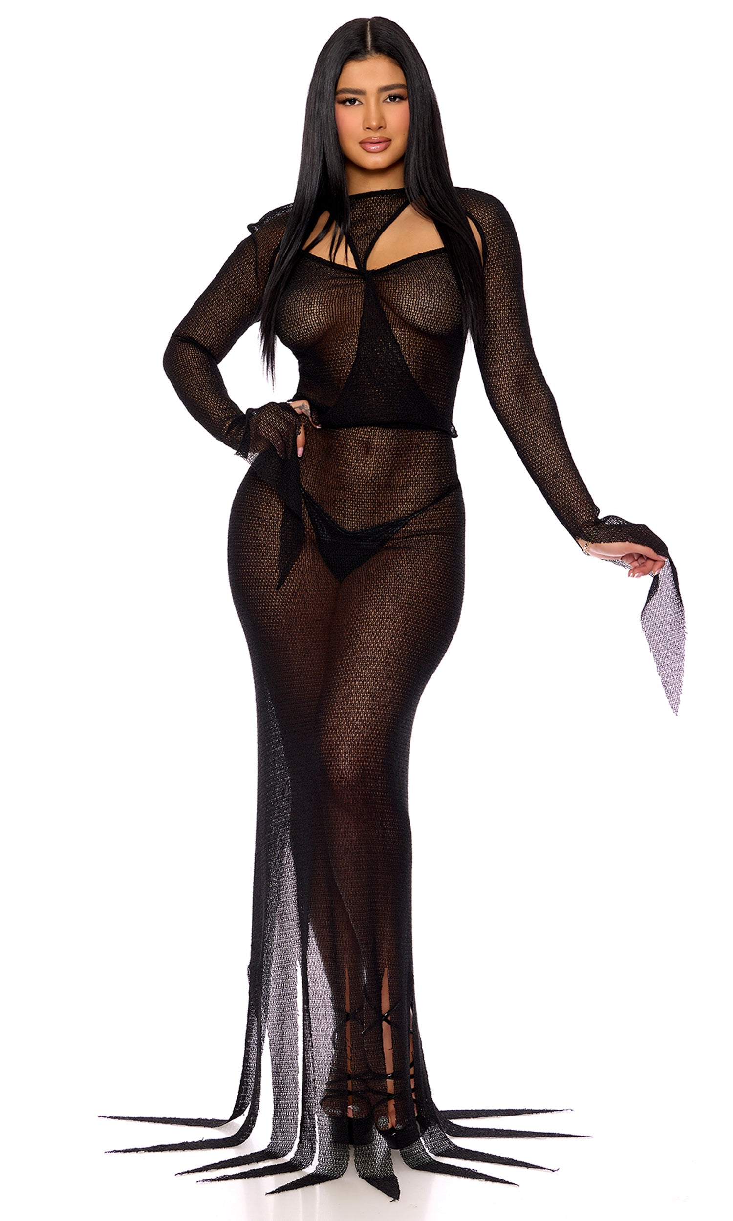 Sexy Mistress of Dark movie character costume in sheer black mesh.