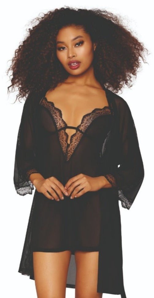 Mesh Chemise and Robe Gift Set Musotica.com